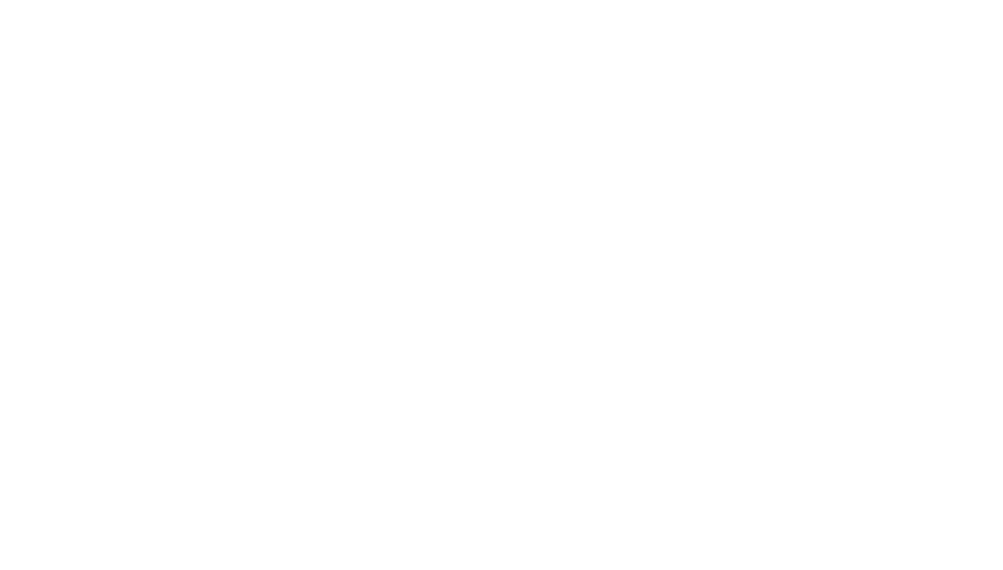 Dragon Screen Enclosures